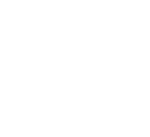 Top Star logo
